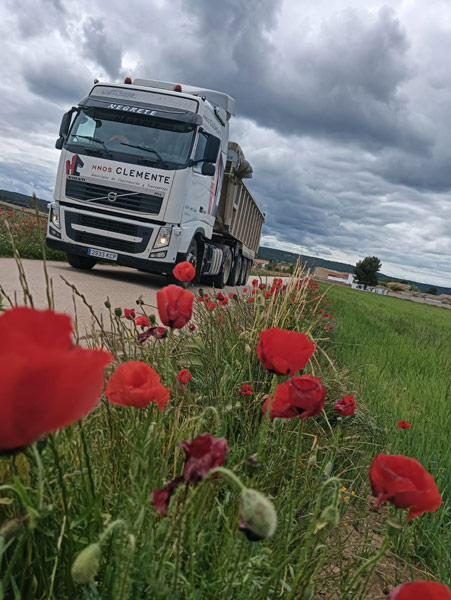 transportes hnos clemenete camion